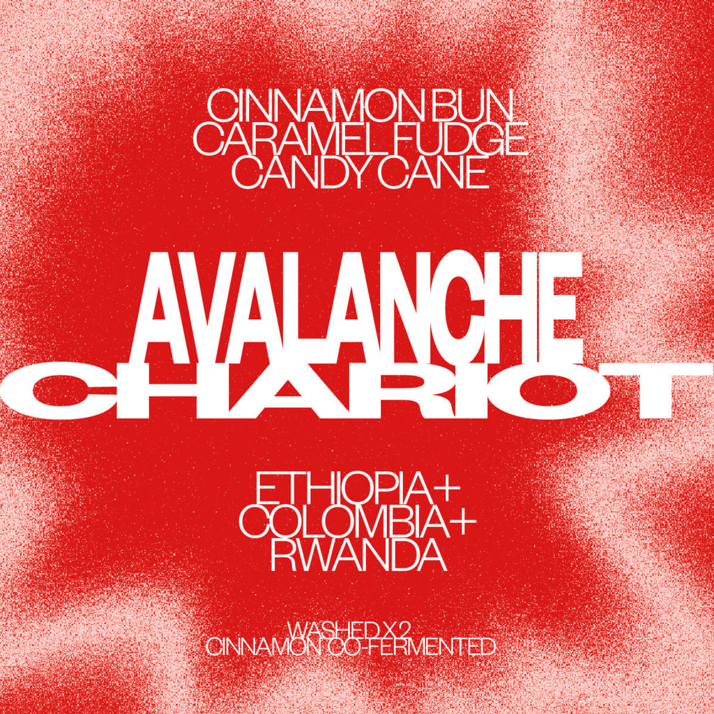 AVALANCE CHARIOT - XMAS BLEND